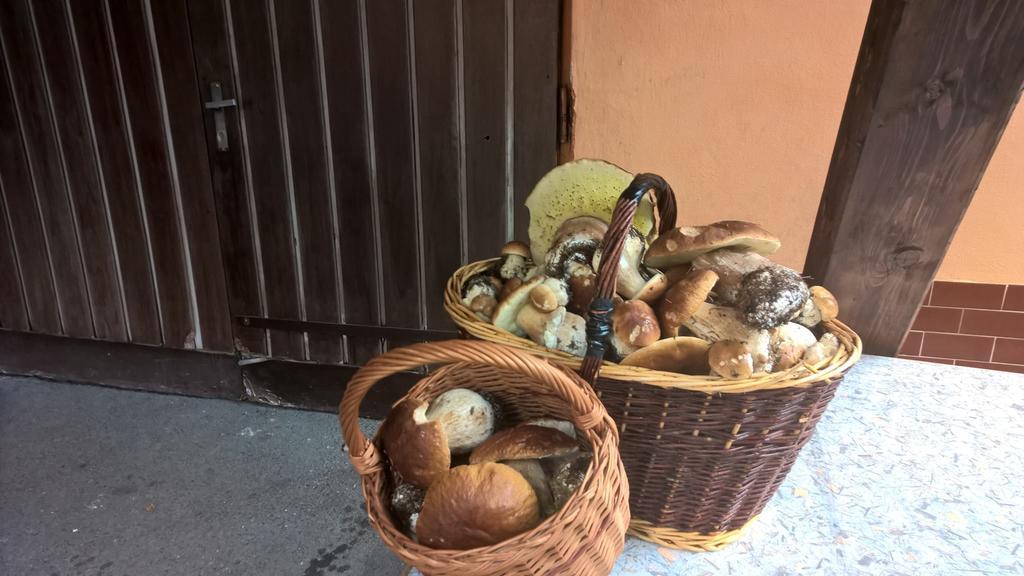 Penzion Jizerka جابلونك ناد نيسو المظهر الخارجي الصورة